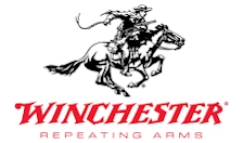 Page Logo
